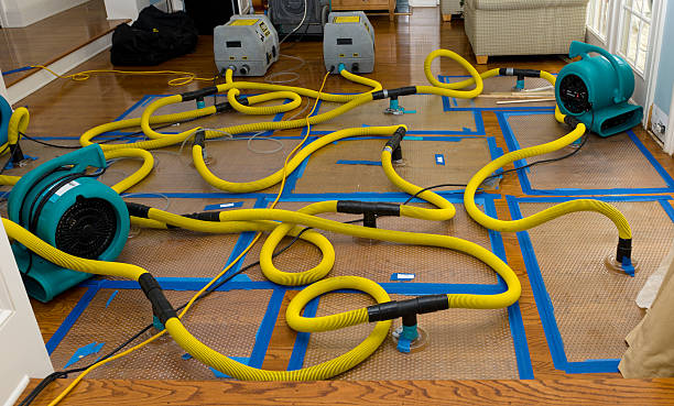 Professional Flood Damage Restoration technician working in Albion, WA